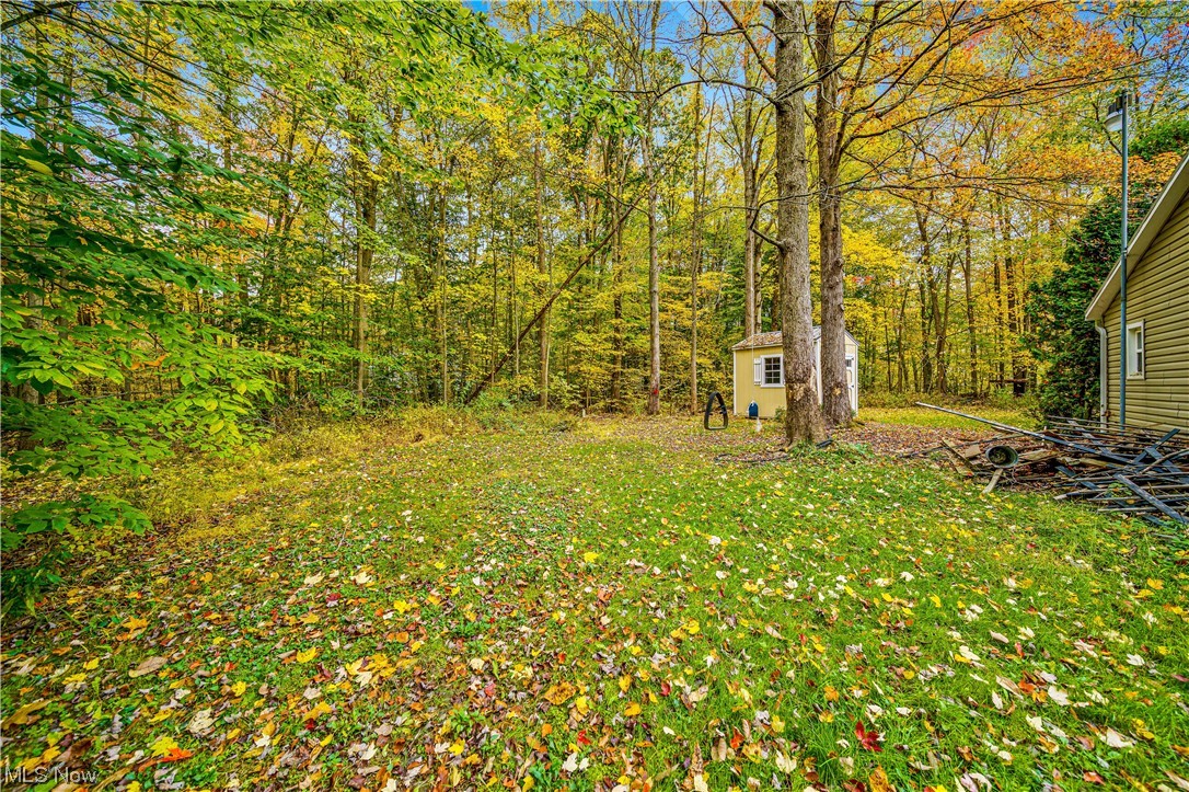 933 Long Shadow Lane Rome, OH 44085 - Photo 10 of 25 View of yard featuring an outdoor structure