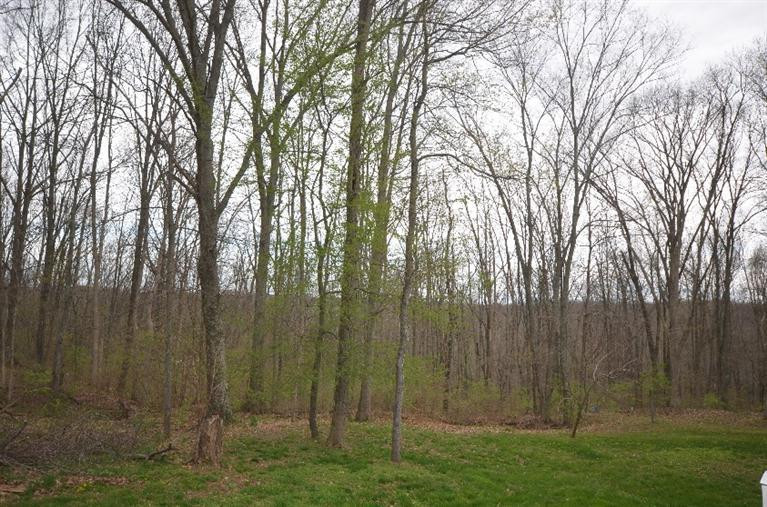 2575 Crittenden Mt Zion Road Dry Ridge, KY 41035 - Photo 24 of 25