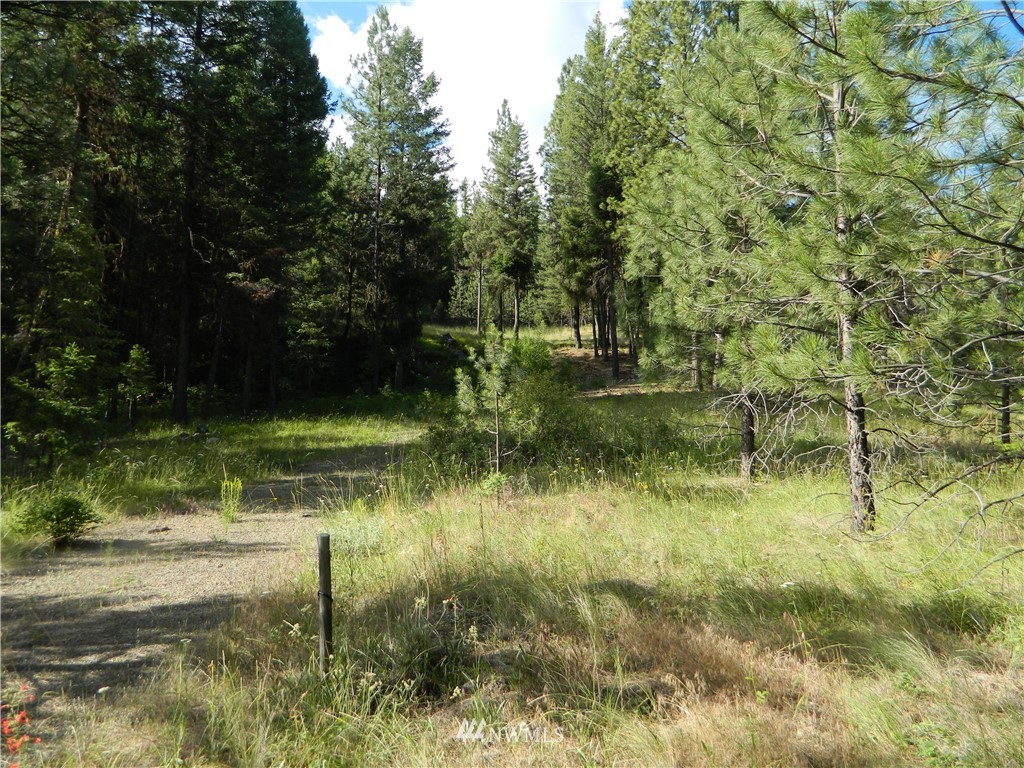 63 Fs 30 Road Tonasket, WA 98855 - Photo 13 of 18