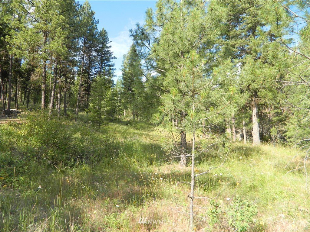 63 Fs 30 Road Tonasket, WA 98855 - Photo 14 of 18