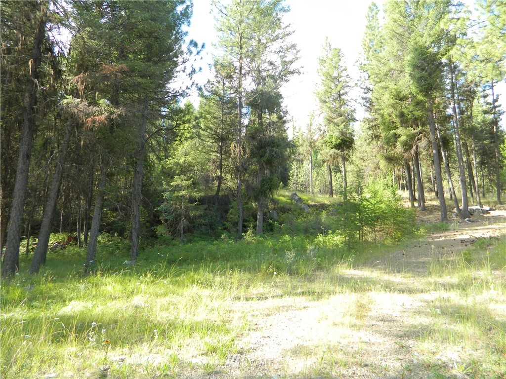 63 Fs 30 Road Tonasket, WA 98855 - Photo 15 of 18