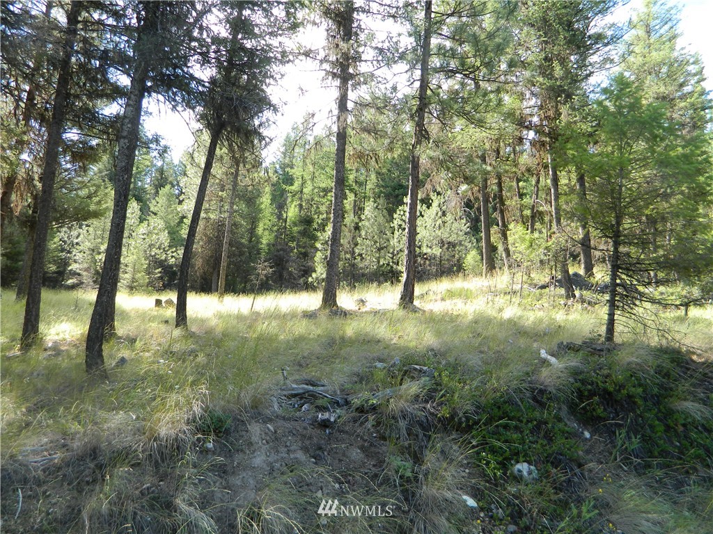 63 Fs 30 Road Tonasket, WA 98855 - Photo 16 of 18