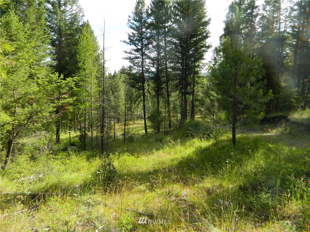 63 Fs 30 Road Tonasket, WA 98855 - Photo 17 of 18