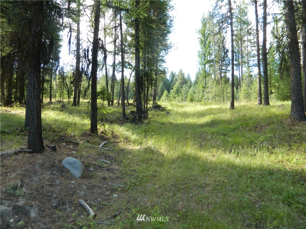 63 Fs 30 Road Tonasket, WA 98855 - Photo 18 of 18