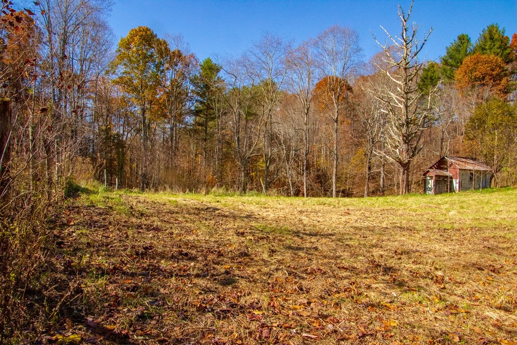 406 Gap Of Ridge Road Wytheville, VA 24382 - Photo 33 of 34 Gallery Image 33
