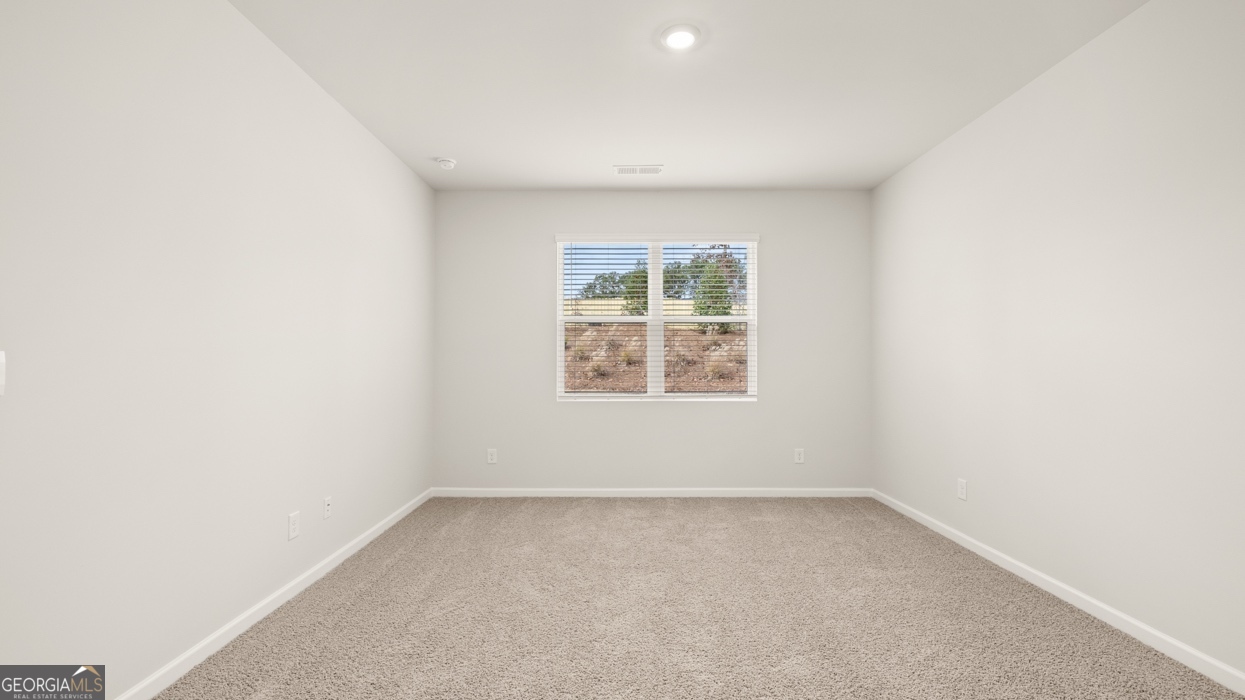 11969 Aukerman Way Hampton, GA 30228 - Photo 13 of 26