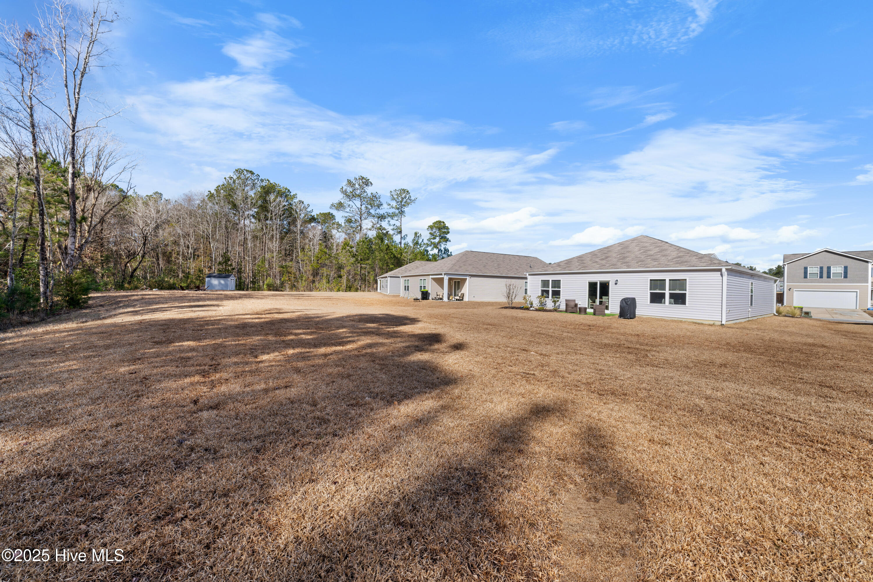 776 Buckeye Road Northeast Leland, NC 28451 - Photo 6 of 42 Expansive Backyard Views of Pond and Nature