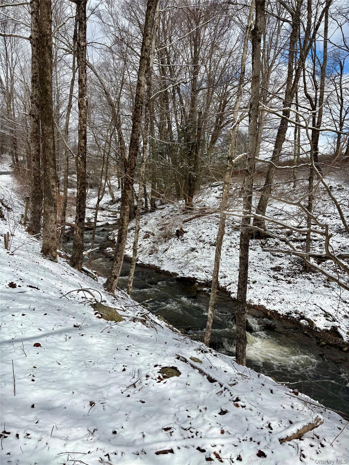14 Frelich Rd/t R 28 Fremont Center, NY 12736 - Photo 4 of 47