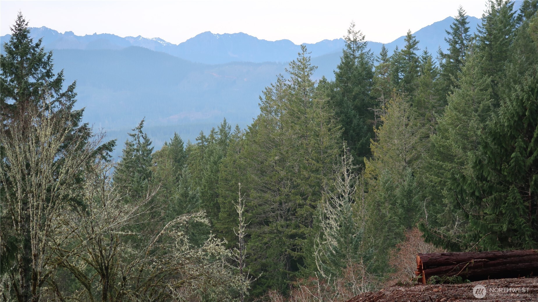 1111 Northeast Capstan Rock Road Tahuya, WA 98588 - Photo 13 of 39