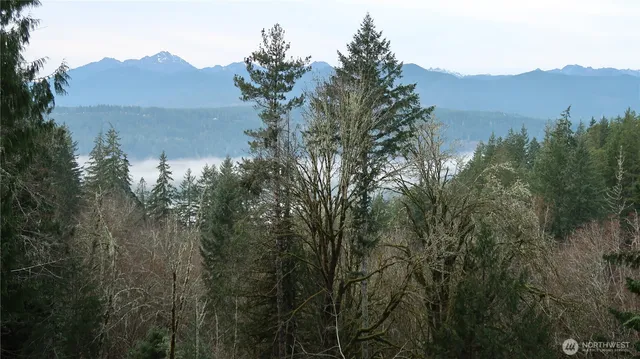 an aerial view of mountain with trees in the background