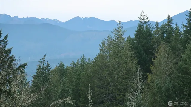 a view of a yard and mountains in the background