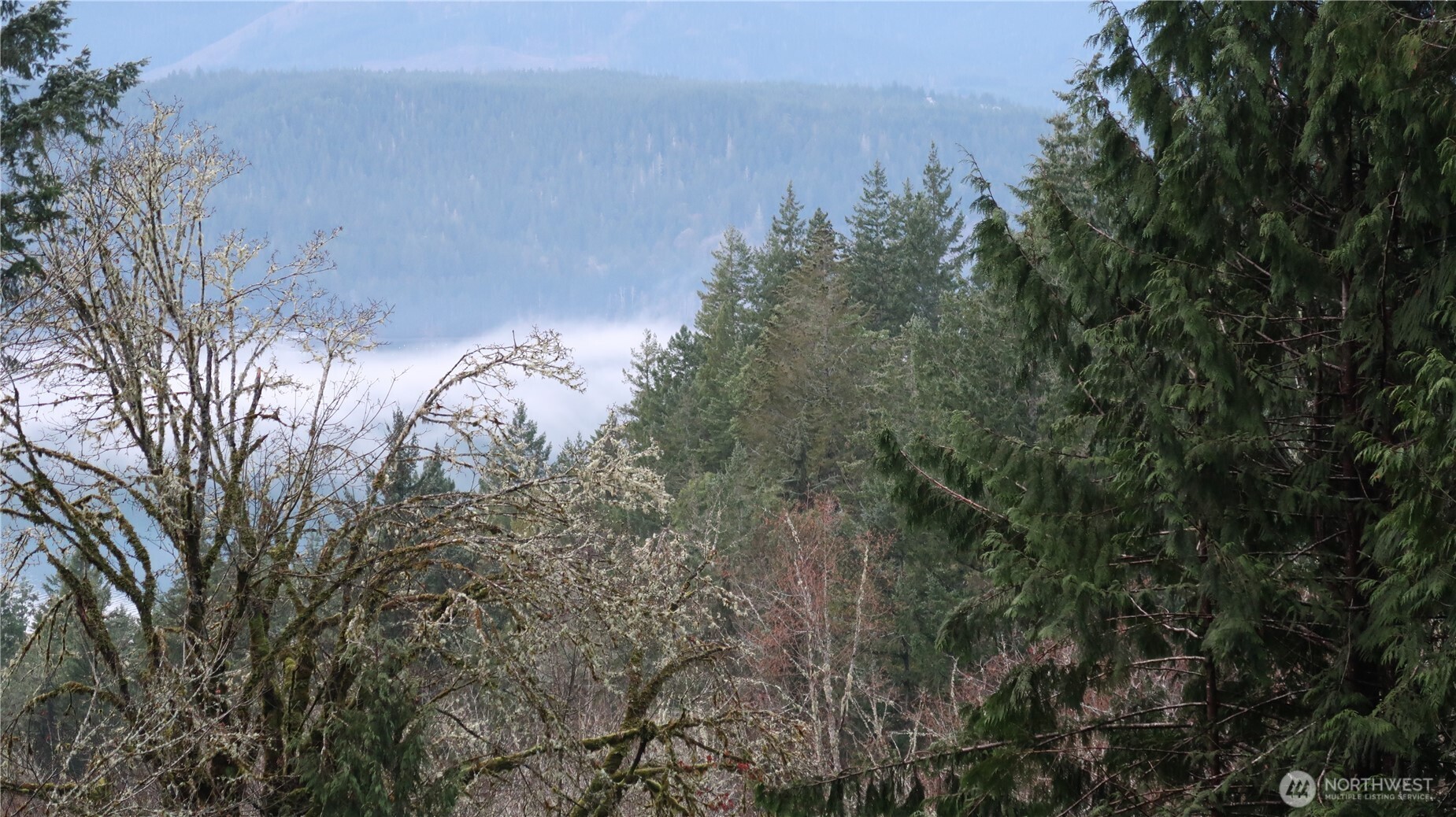 1111 Northeast Capstan Rock Road Tahuya, WA 98588 - Photo 17 of 39