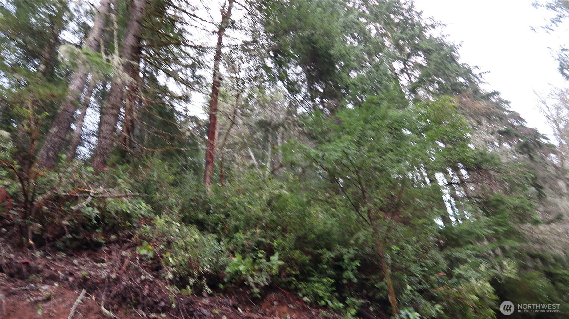 1111 Northeast Capstan Rock Road Tahuya, WA 98588 - Photo 19 of 39