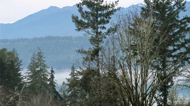 a view of lake with a tree in the background