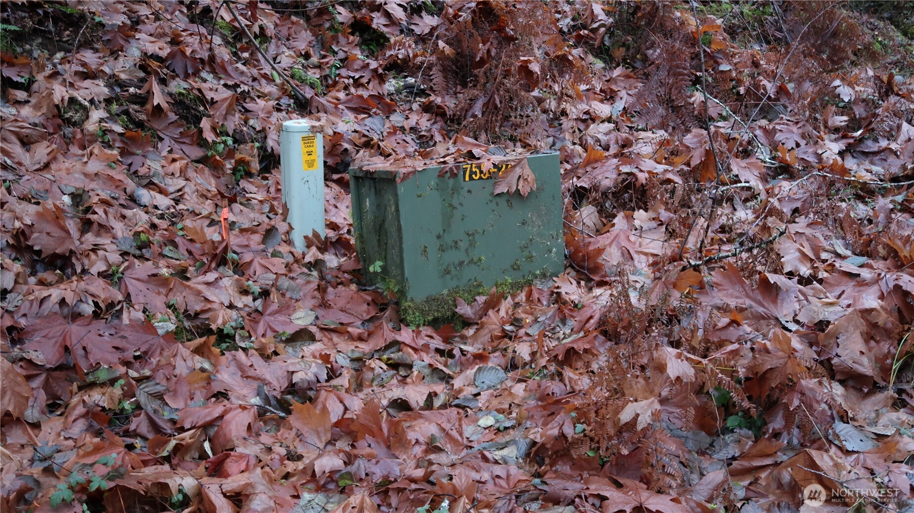 1111 Northeast Capstan Rock Road Tahuya, WA 98588 - Photo 21 of 39