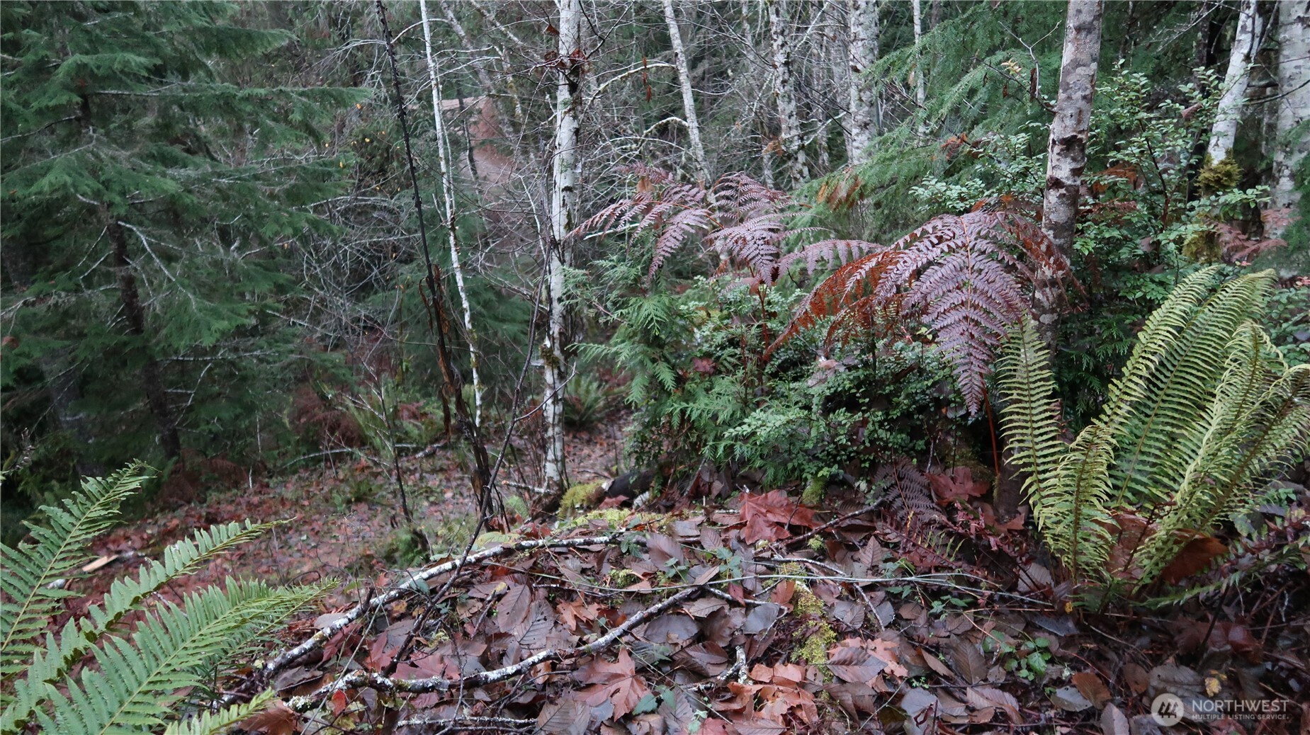 1111 Northeast Capstan Rock Road Tahuya, WA 98588 - Photo 25 of 39