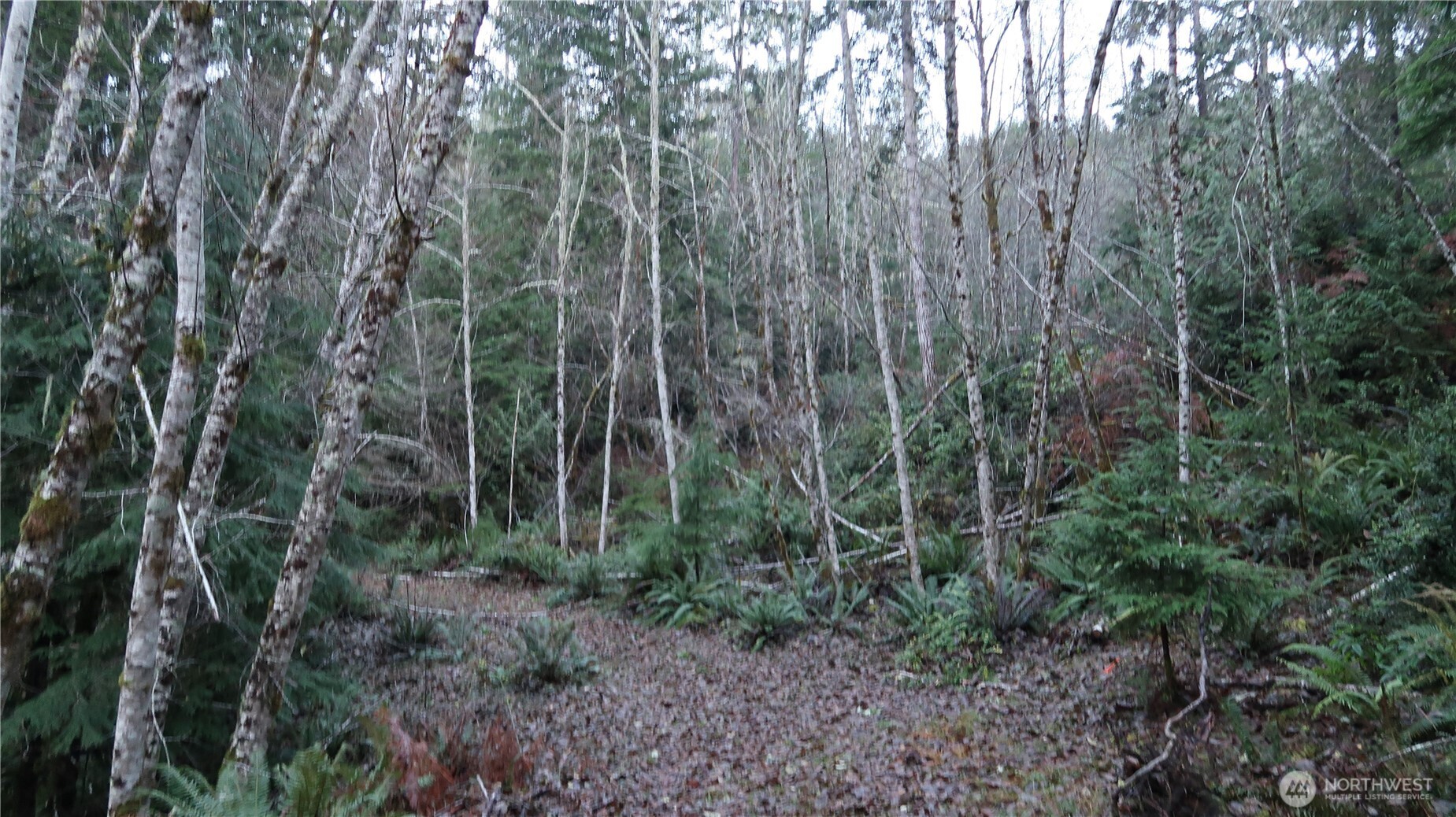 1111 Northeast Capstan Rock Road Tahuya, WA 98588 - Photo 26 of 39