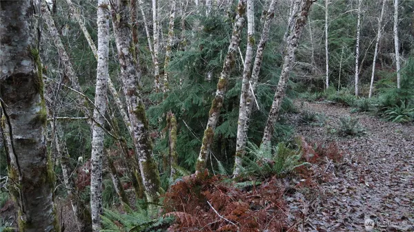 a view of house with trees in the background