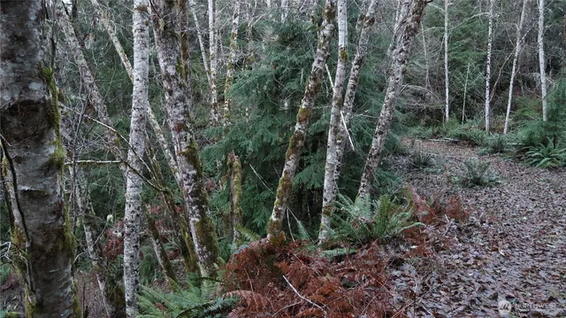 a view of house with trees in the background