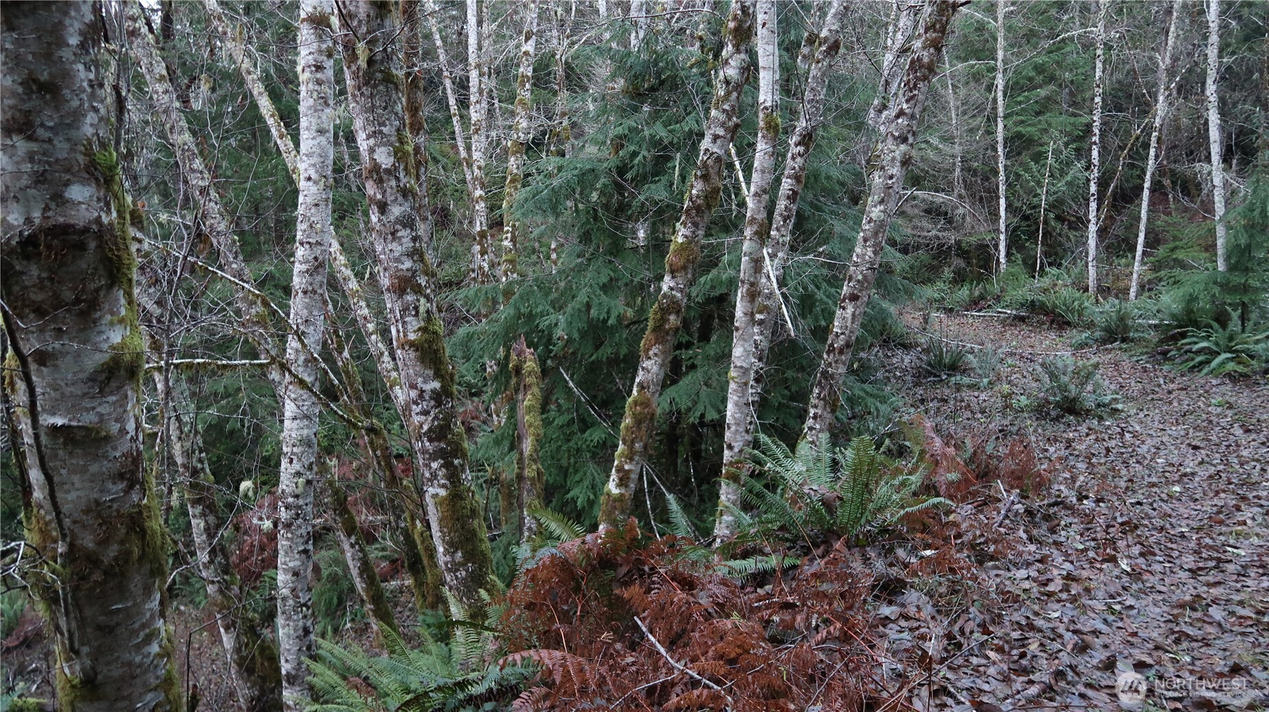 1111 Northeast Capstan Rock Road Tahuya, WA 98588 - Photo 27 of 39