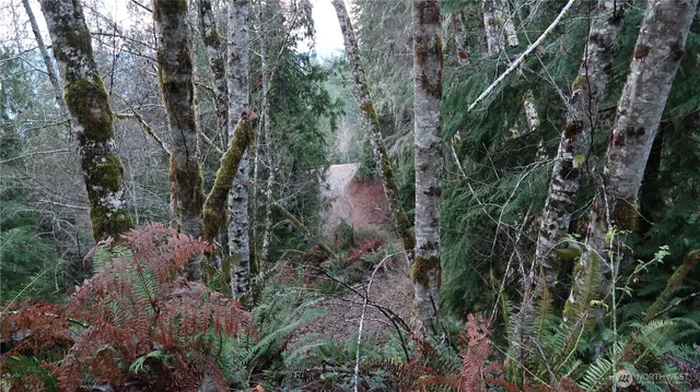 a view of a backyard with table and chairs