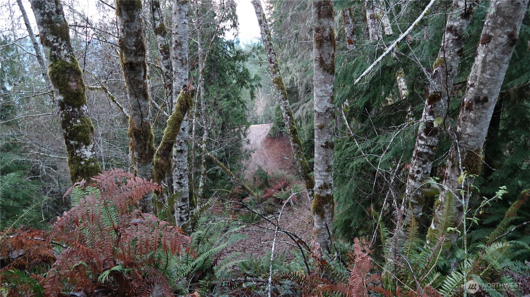 1111 Northeast Capstan Rock Road Tahuya, WA 98588 - Photo 28 of 39