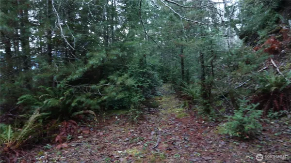 $158,000 | 1111 Northeast Capstan Rock Road, Tahuya, WA 98588