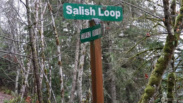 $158,000 | 1111 Northeast Capstan Rock Road, Tahuya, WA 98588