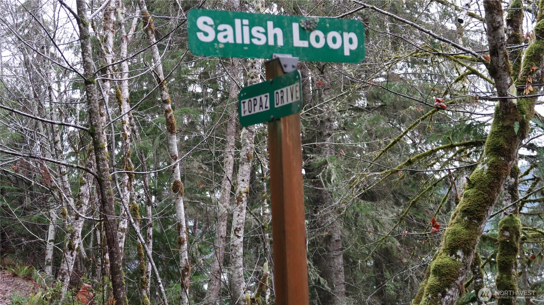 1111 Northeast Capstan Rock Road Tahuya, WA 98588 - Photo 31 of 39