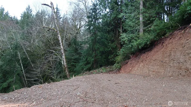 a view of a dirt road with trees in the background