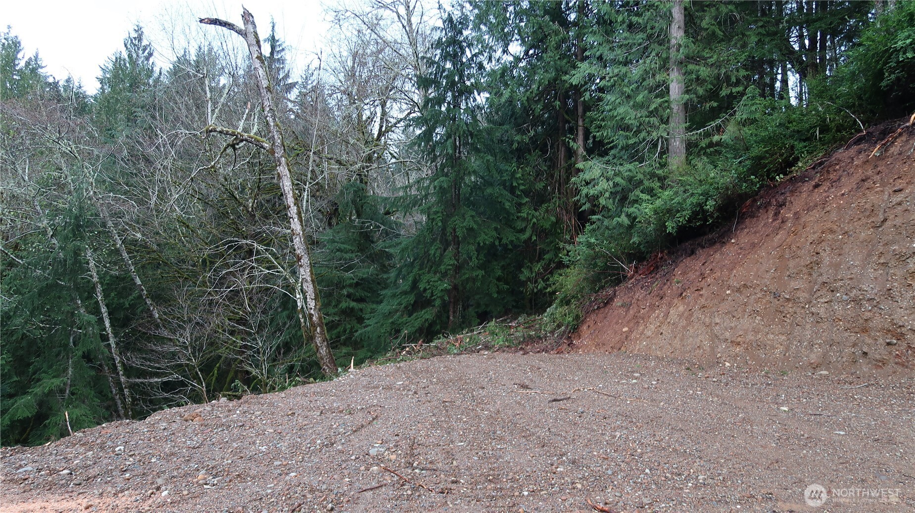 1111 Northeast Capstan Rock Road Tahuya, WA 98588 - Photo 7 of 39