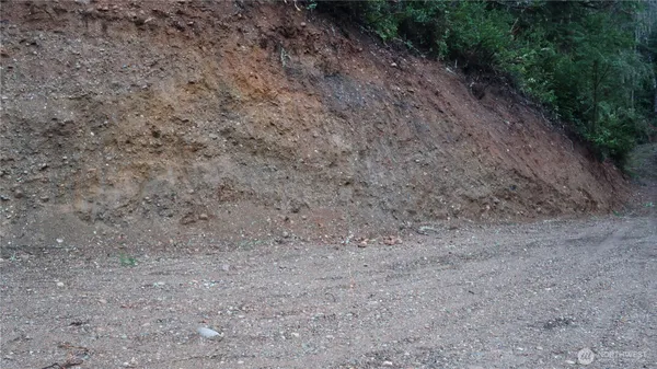 a view of a dry yard with a tree