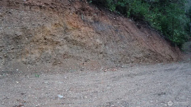 a view of a dry yard with a tree