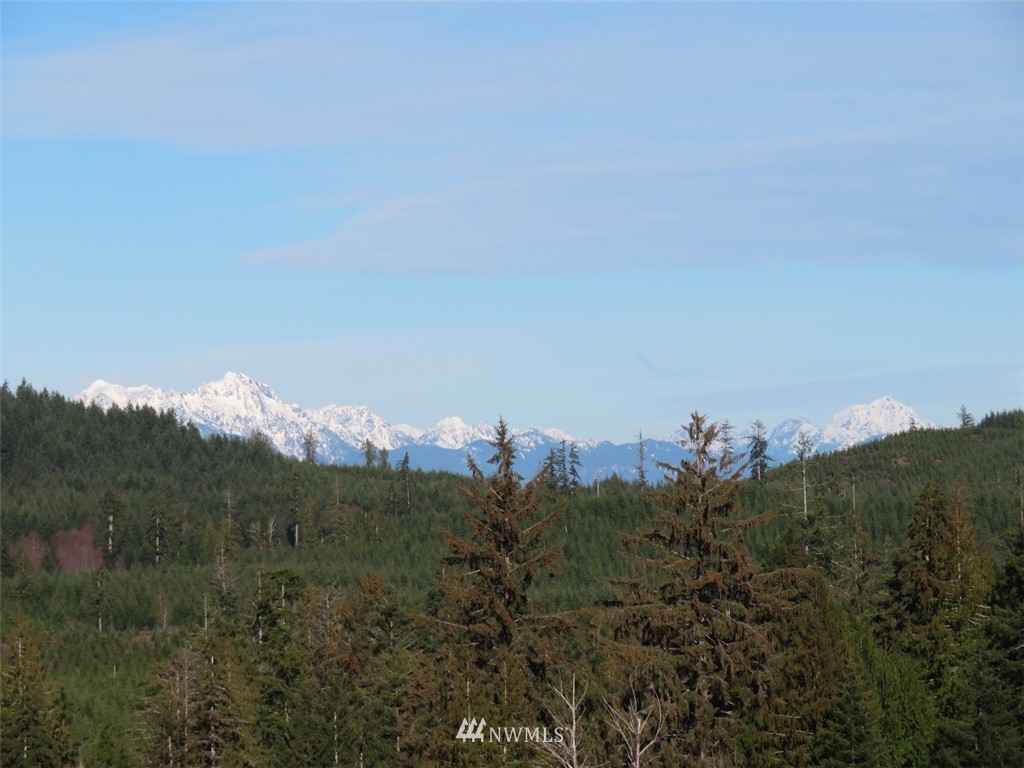 3 West Bulb Farm Road Shelton, WA 98584 - Photo 1 of 25 Gallery Image 1