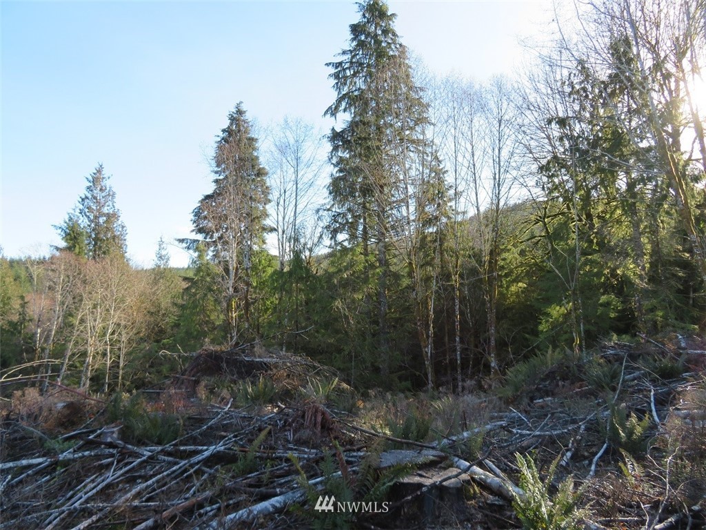 3 West Bulb Farm Road Shelton, WA 98584 - Photo 12 of 25 Gallery Image 12