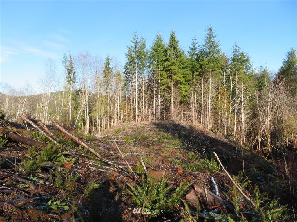 3 West Bulb Farm Road Shelton, WA 98584 - Photo 14 of 25 Gallery Image 14