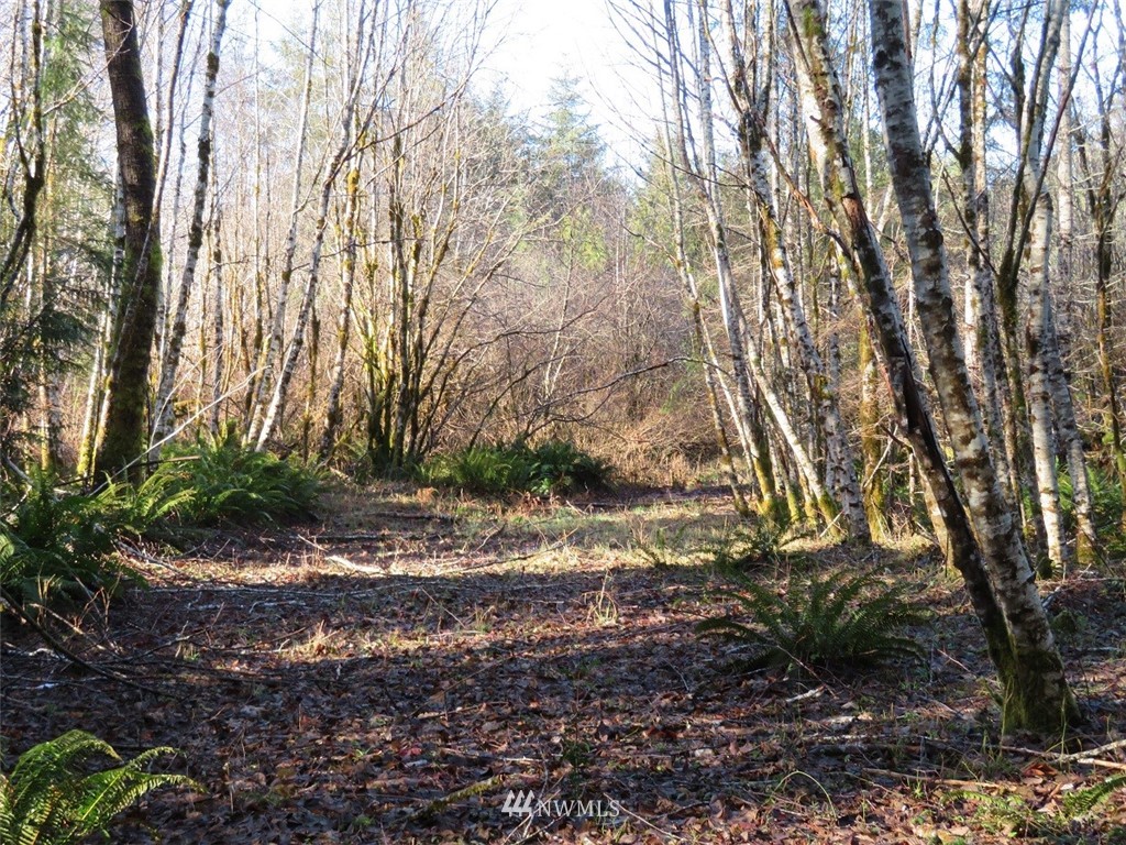 3 West Bulb Farm Road Shelton, WA 98584 - Photo 16 of 25 Gallery Image 16