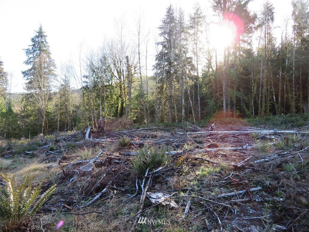 3 West Bulb Farm Road Shelton, WA 98584 - Photo 17 of 25 Gallery Image 17