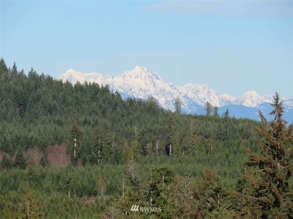 3 West Bulb Farm Road Shelton, WA 98584 - Photo 18 of 25 Gallery Image 18