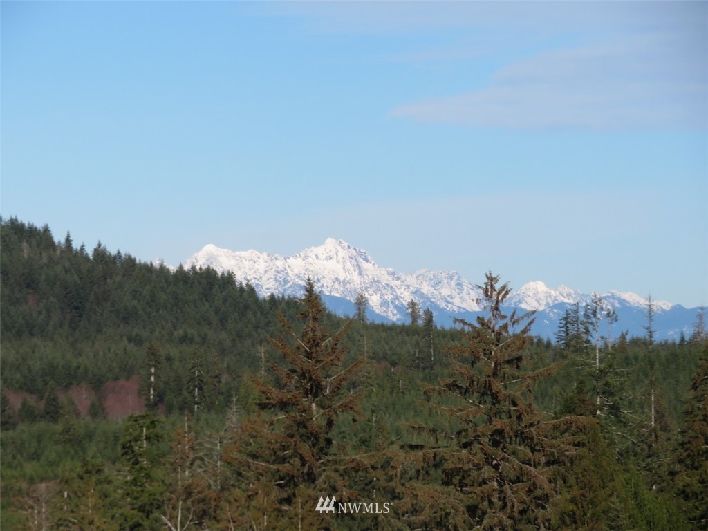 3 West Bulb Farm Road Shelton, WA 98584 - Photo 20 of 25 Gallery Image 20