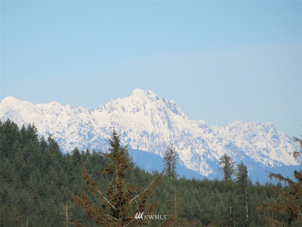 3 West Bulb Farm Road Shelton, WA 98584 - Photo 3 of 25 Gallery Image 3