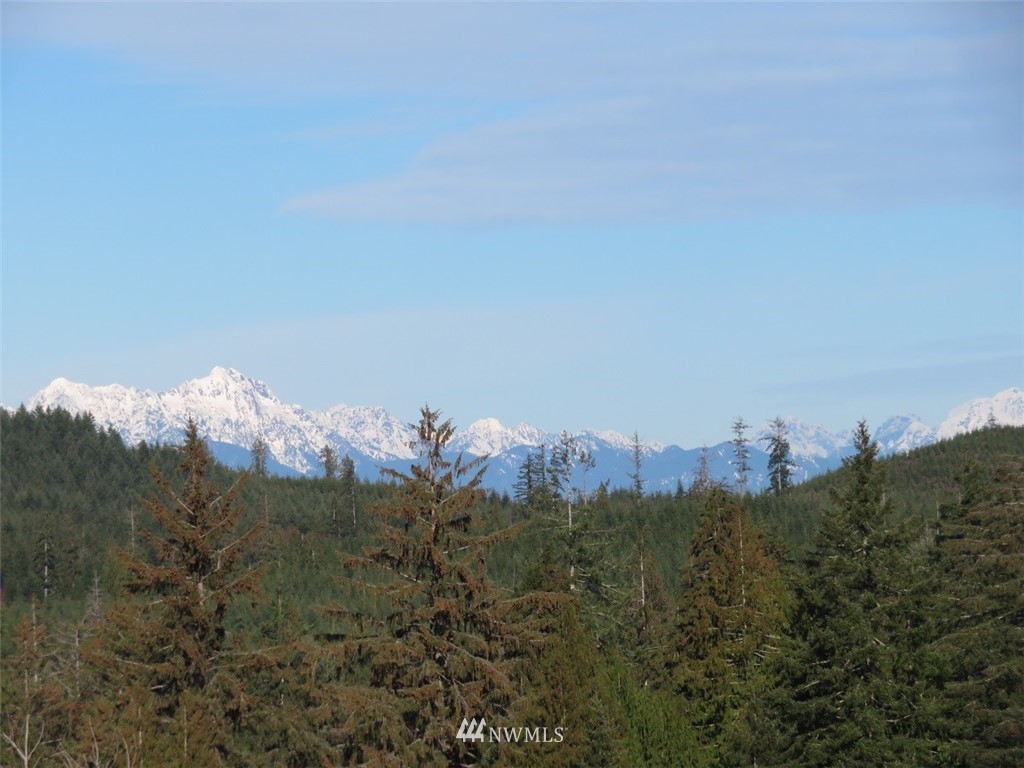 3 West Bulb Farm Road Shelton, WA 98584 - Photo 21 of 25 Gallery Image 21