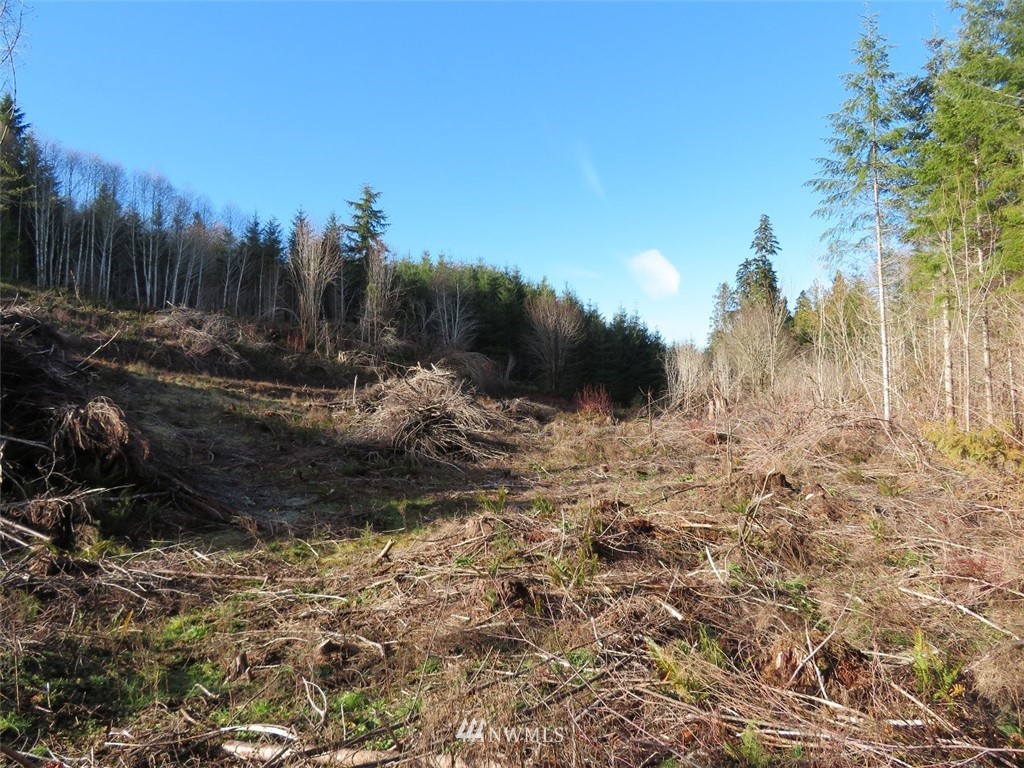 3 West Bulb Farm Road Shelton, WA 98584 - Photo 24 of 25 Gallery Image 24
