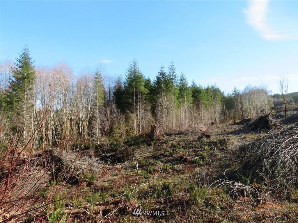 3 West Bulb Farm Road Shelton, WA 98584 - Photo 25 of 25 Gallery Image 25