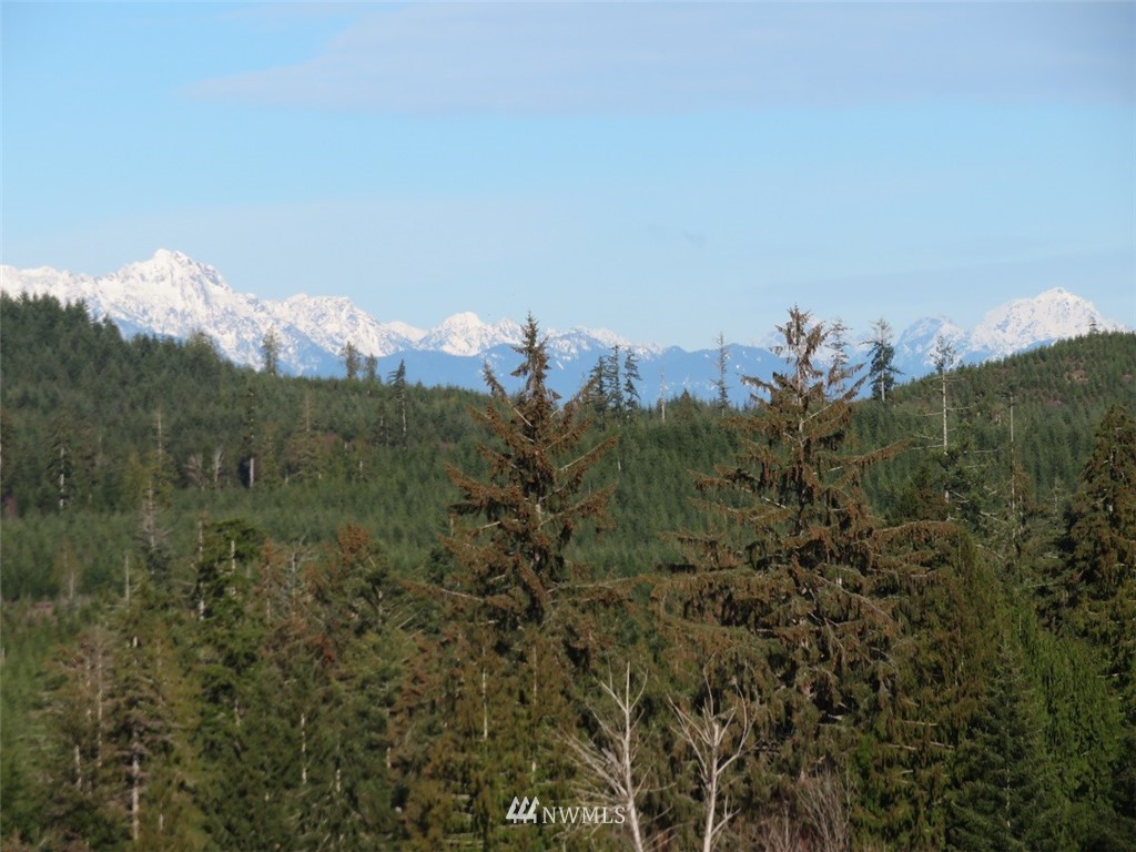 3 West Bulb Farm Road Shelton, WA 98584 - Photo 4 of 25 Gallery Image 4