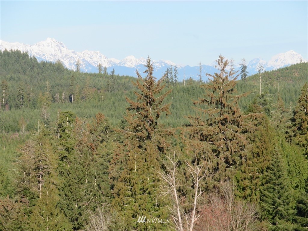 3 West Bulb Farm Road Shelton, WA 98584 - Photo 6 of 25 Gallery Image 6