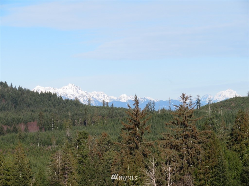 3 West Bulb Farm Road Shelton, WA 98584 - Photo 8 of 25 Gallery Image 8