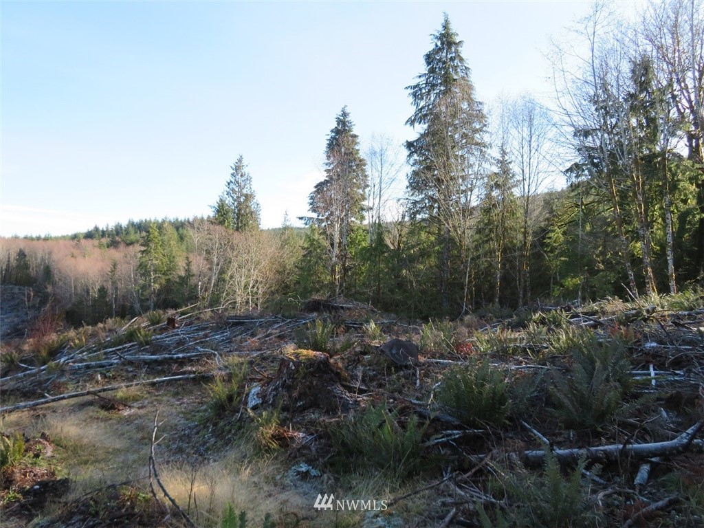3 West Bulb Farm Road Shelton, WA 98584 - Photo 10 of 25 Gallery Image 10