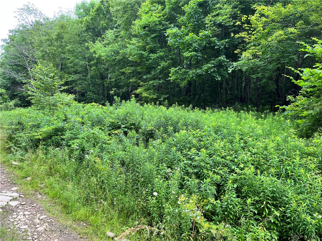 0 Marvin Hollow Road Walton, NY 13856 - Photo 12 of 22
