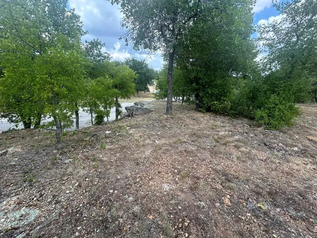 a view of a forest with trees in the background